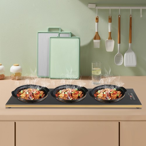 Electric server warming tray - server,