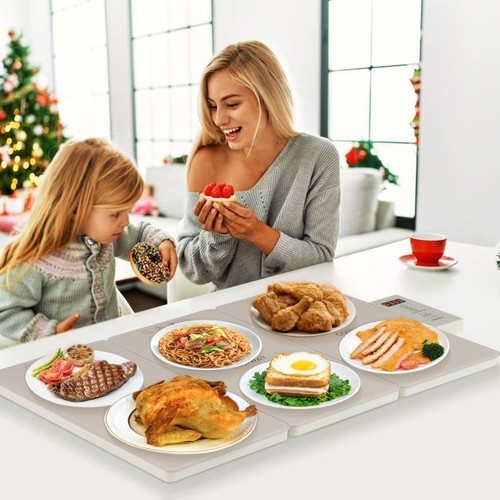 Electric food warming tray - warming,
